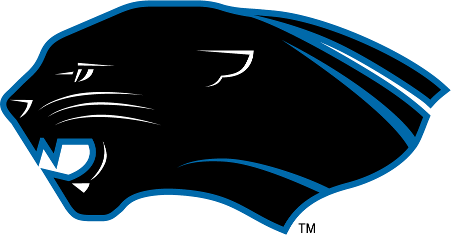 Eastern Illinois Panthers 2000-2008 Secondary Logo diy DTF decal sticker